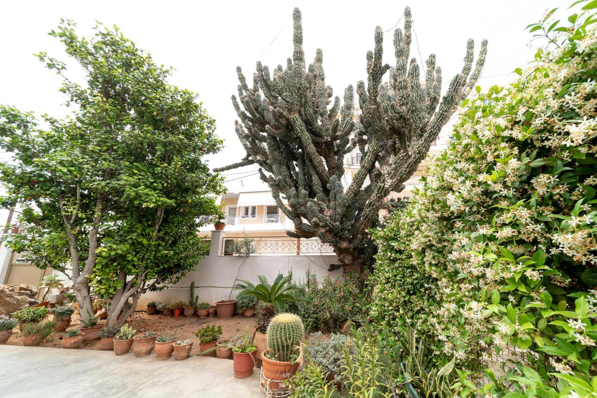 Cactus - Blooming Garden Apartments Kalamata Esterno foto